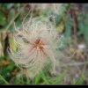 20050903_209
